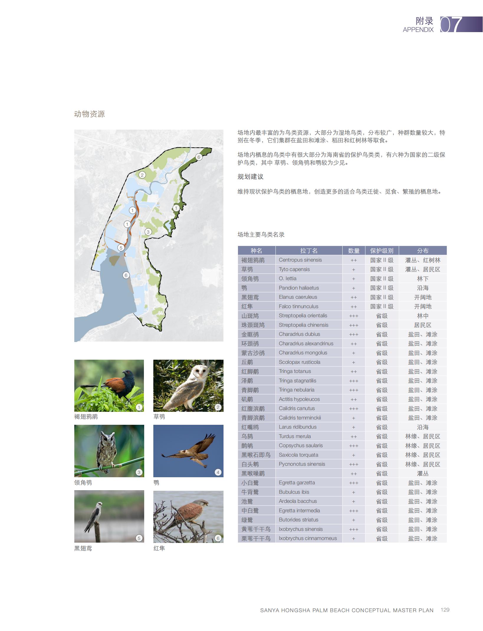 图片[131]-【AECOM】三亚红沙棕榈滩景观方案2010 - 由甫网-由甫网