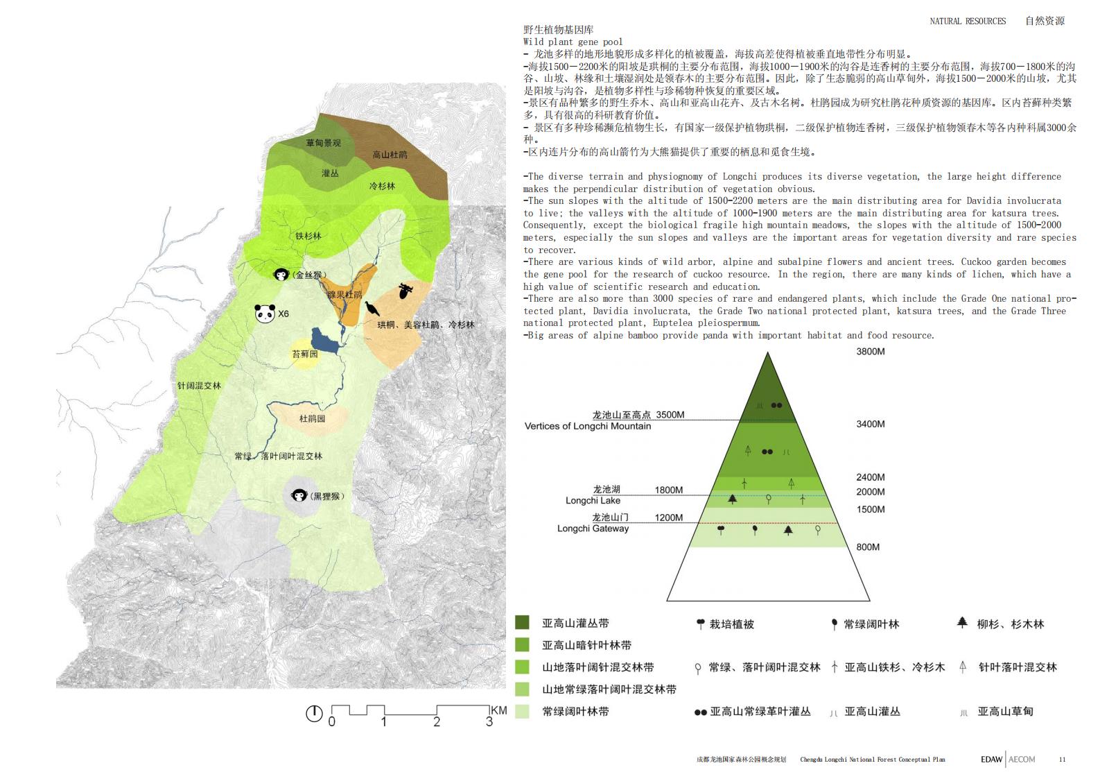 图片[11]-成都龙池国家森林公园概念规划——EDAW丨AECOM