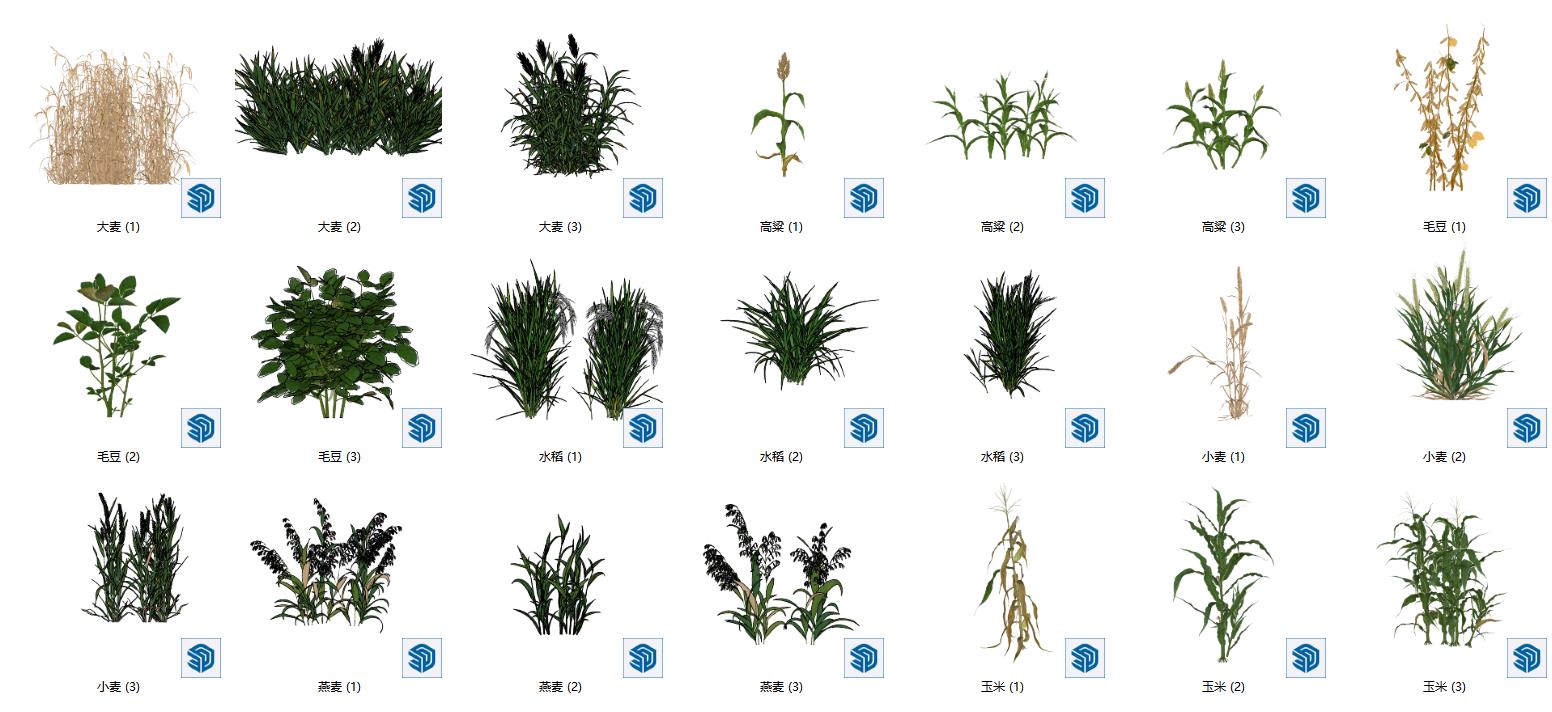 图片[2]-现代农作物_农业公园景观植物_水稻_菜地菜园_田园灌木_芒草_小麦_庄稼SU模型ID_0101130001 - 由甫网-由甫网