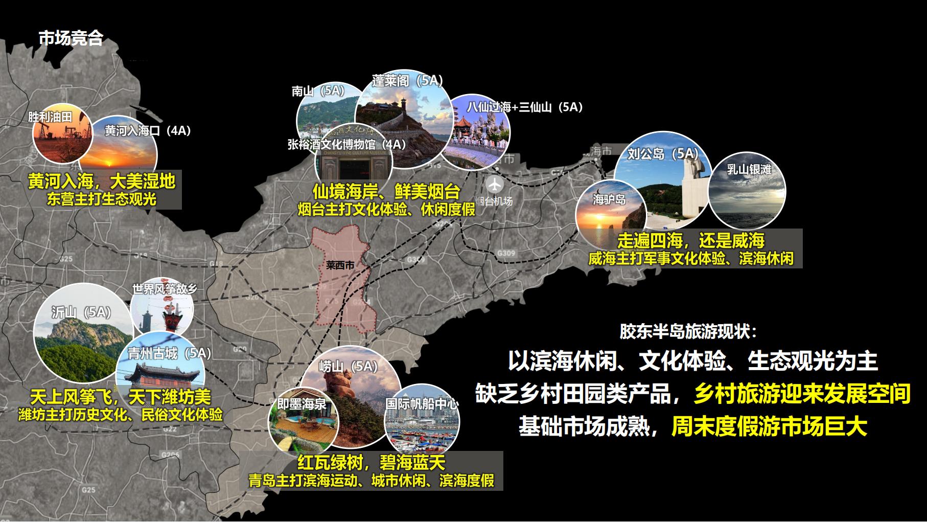 图片[4]-莱西市葡萄全产业链城市策划方案文本下载 PDF - 由甫网-由甫网