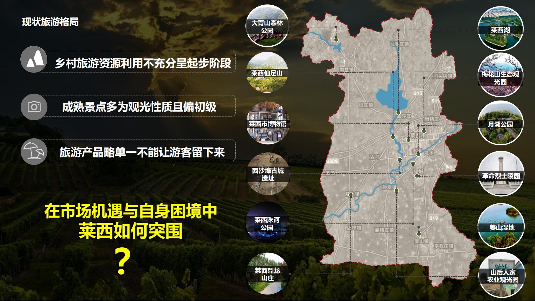 图片[5]-莱西市葡萄全产业链城市策划方案文本下载 PDF - 由甫网-由甫网