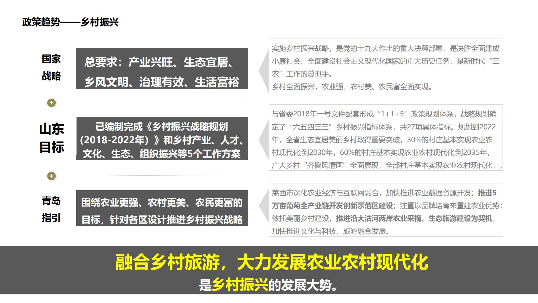 图片[6]-莱西市葡萄全产业链城市策划方案文本下载 PDF - 由甫网-由甫网