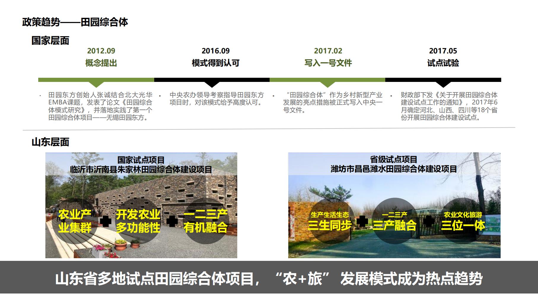 图片[7]-莱西市葡萄全产业链城市策划方案文本下载 PDF - 由甫网-由甫网