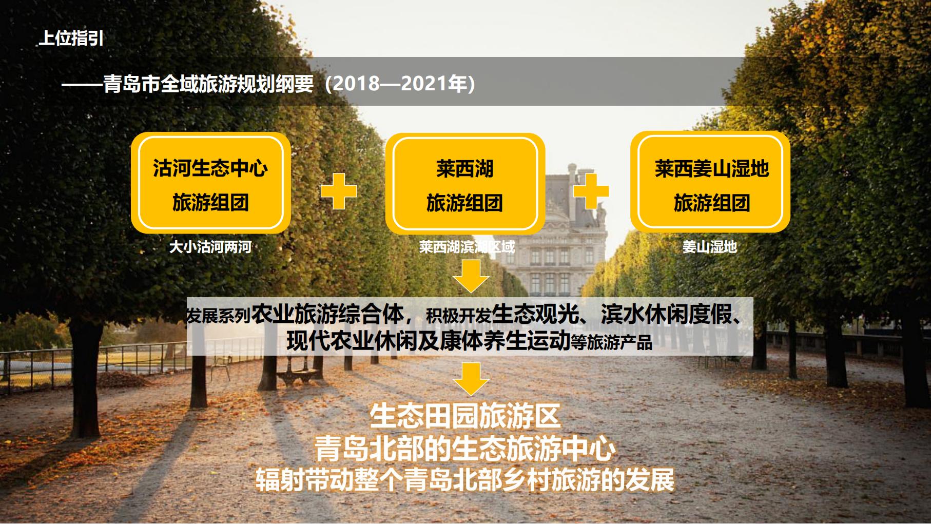 图片[8]-莱西市葡萄全产业链城市策划方案文本下载 PDF - 由甫网-由甫网