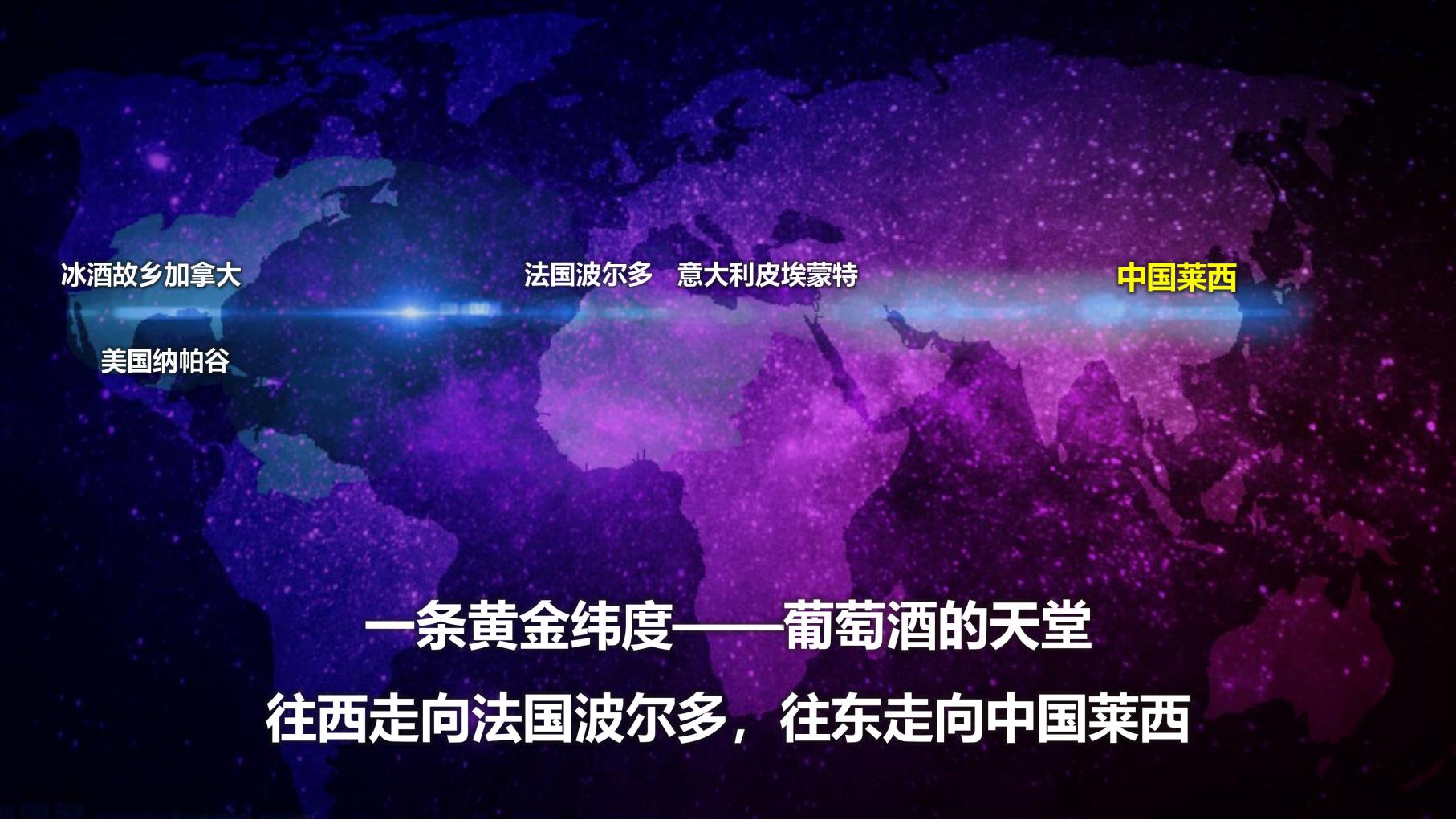 图片[11]-莱西市葡萄全产业链城市策划方案文本下载 PDF - 由甫网-由甫网