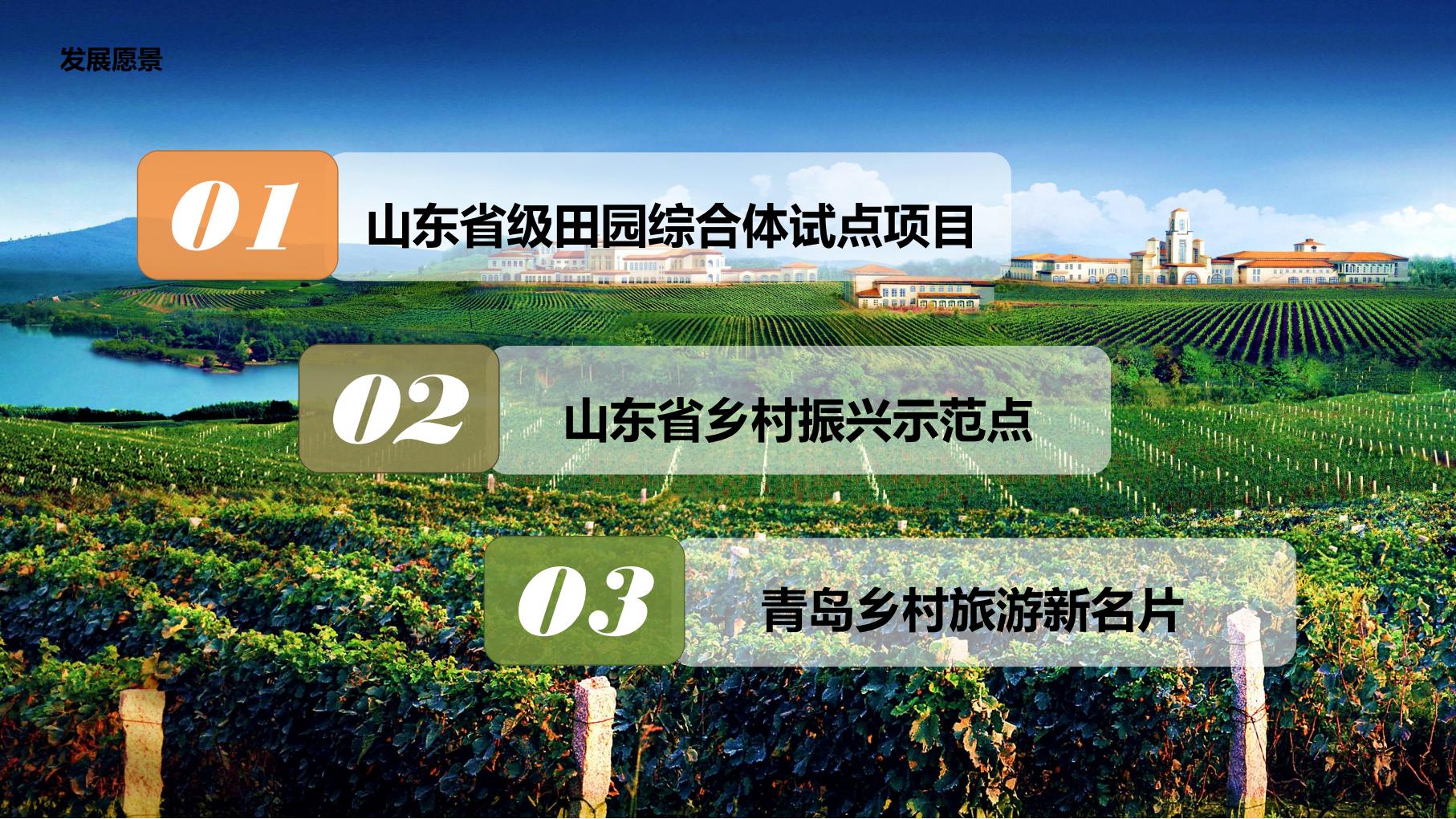 图片[14]-莱西市葡萄全产业链城市策划方案文本下载 PDF - 由甫网-由甫网