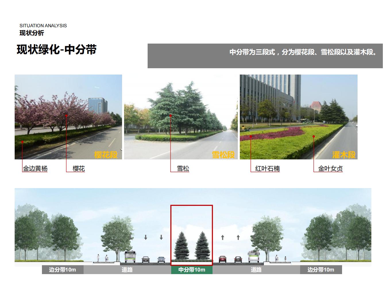 图片[9]-苏源大道景观设计方案文本下载 - 由甫网-由甫网