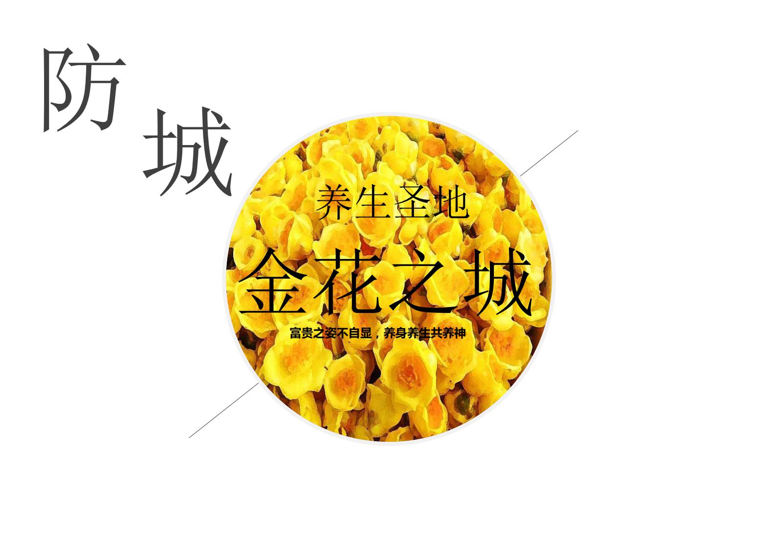 图片[14]-广西中越边境国家风景道概念规划方案文本下载 PDF - 由甫网-由甫网