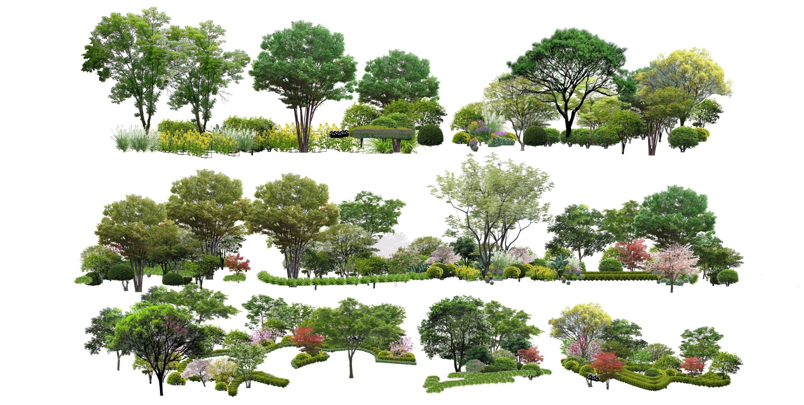 2D现代景观植物 花镜 景观树 植物组团 灌木 乔木 花卉SU模型下载-由甫网