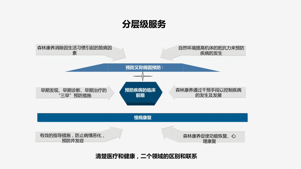 图片[10]-【调研报告】森林康养到乡村振兴研发 - 由甫网-由甫网