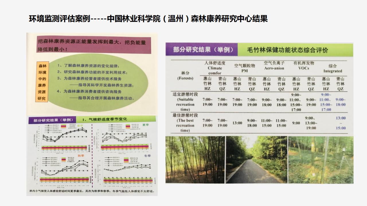 图片[13]-【调研报告】森林康养到乡村振兴研发 - 由甫网-由甫网