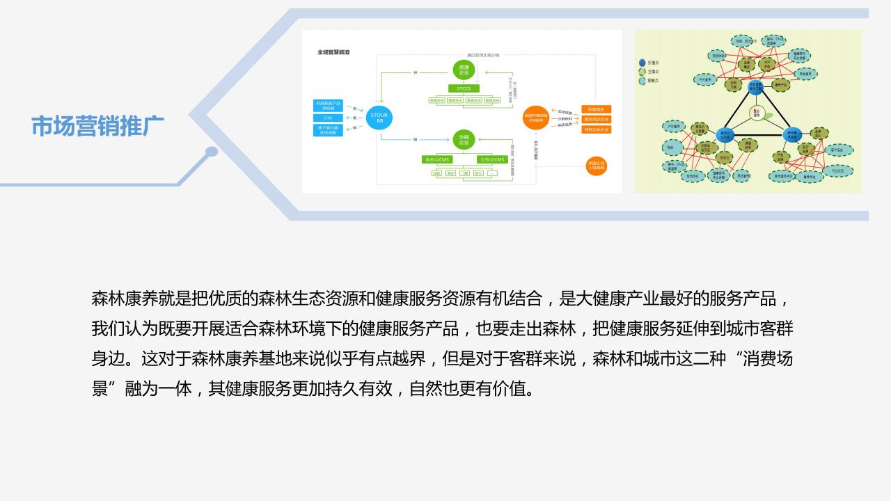 图片[29]-【调研报告】森林康养到乡村振兴研发 - 由甫网-由甫网