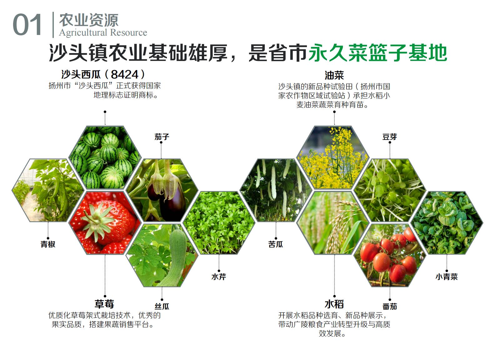 图片[9]-江苏扬州广陵乡村振兴农业现代规划方案文本