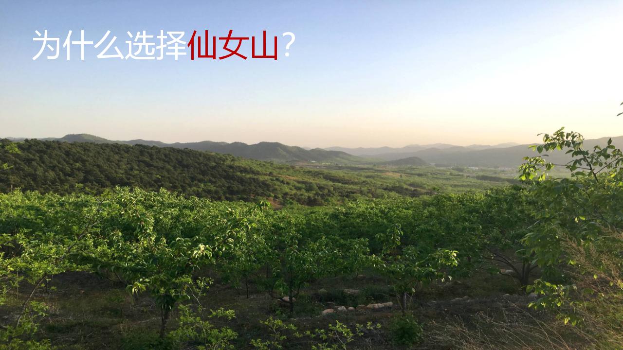 图片[11]-成都三星镇城乡一体发展实践区仙女山“天府田园”项目策划