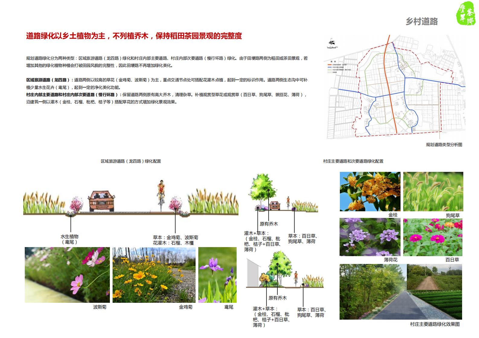 图片[99]-仪征市月塘镇石庄村特色田园乡村规划