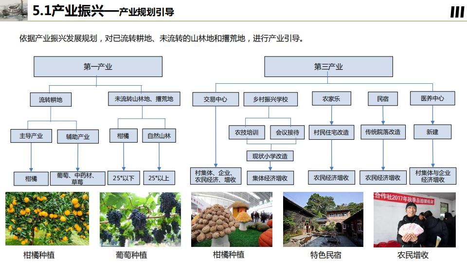 图片[45]-桂花镇金井村乡村振兴建设规划