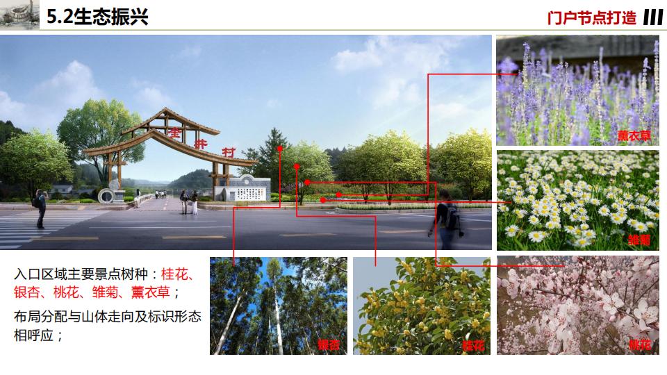 图片[81]-桂花镇金井村乡村振兴建设规划