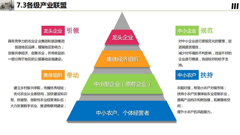 图片[119]-桂花镇金井村乡村振兴建设规划