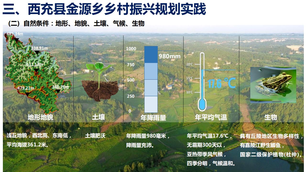 图片[11]-四川西充县金源乡乡村振兴规划