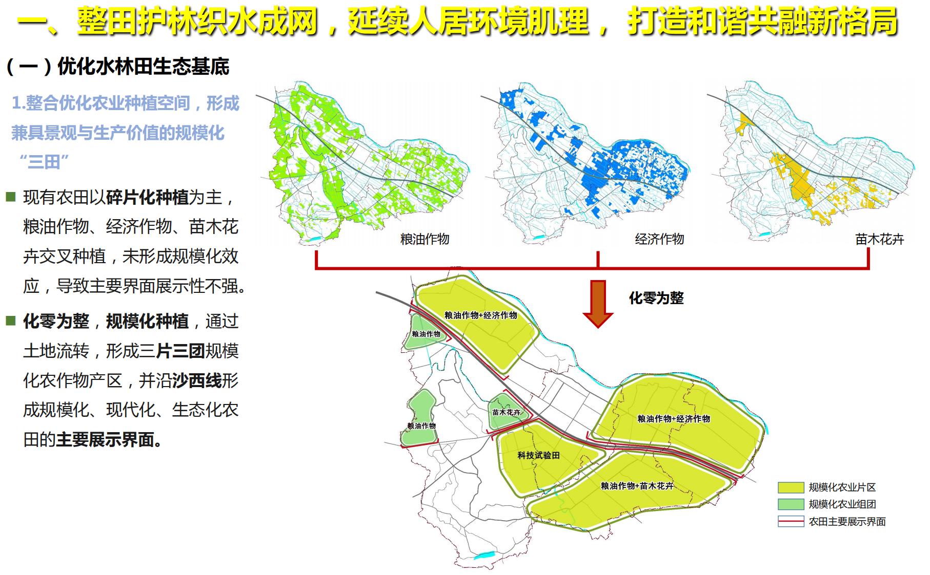 图片[16]-四川战旗五村乡村振兴规划