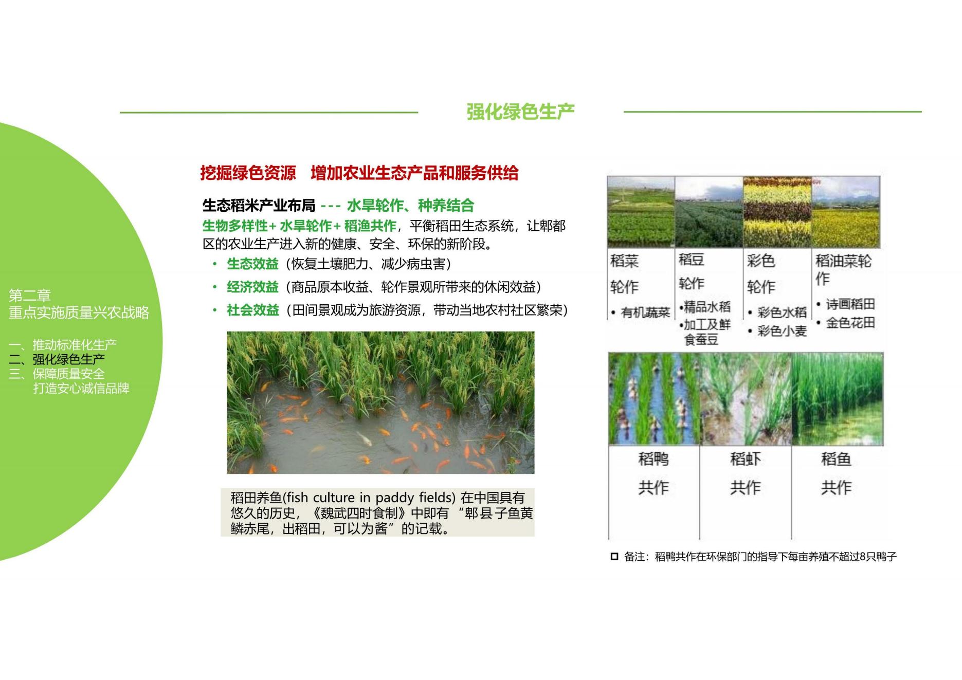 图片[44]-乡村振兴博览园产业策划方案 - 由甫网-由甫网