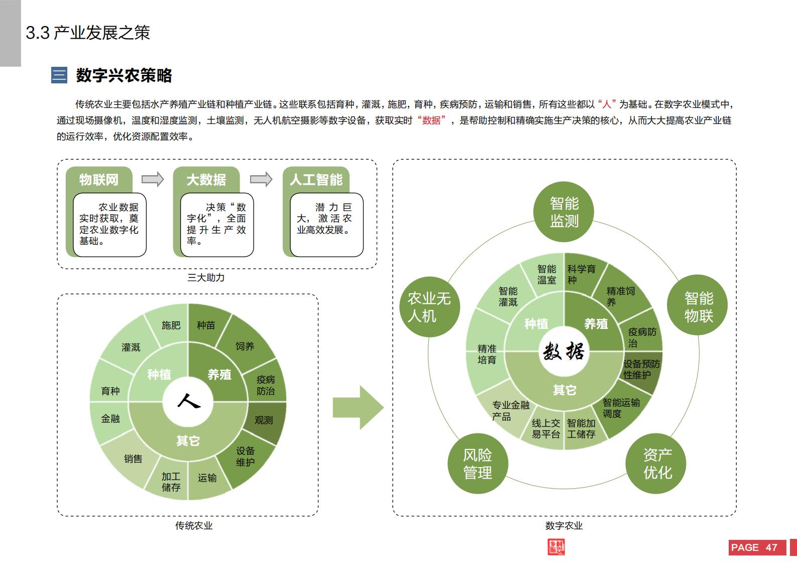 图片[45]-嘉兴市秀洲区乡村振兴战略规划