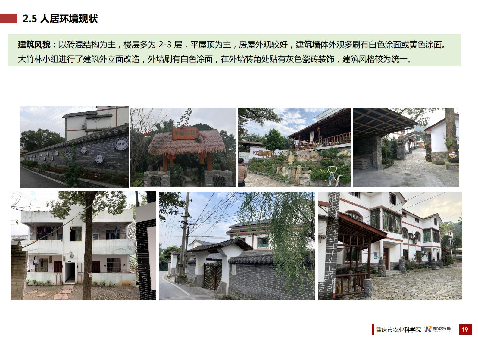 图片[23]-重庆南岸区放牛村市级乡村振兴示范村总体规划