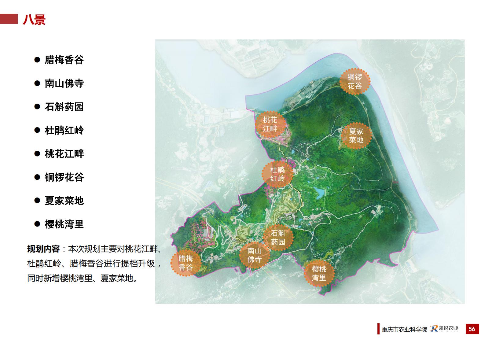 图片[62]-重庆南岸区放牛村市级乡村振兴示范村总体规划