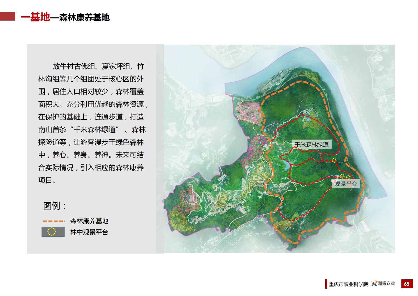 图片[71]-重庆南岸区放牛村市级乡村振兴示范村总体规划