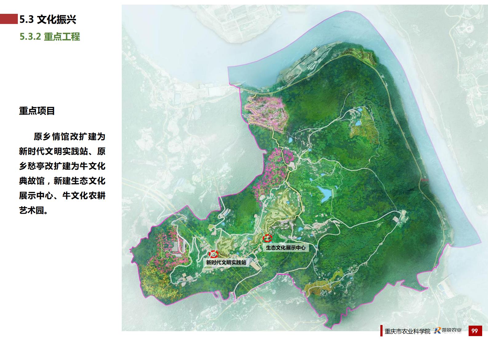 图片[106]-重庆南岸区放牛村市级乡村振兴示范村总体规划