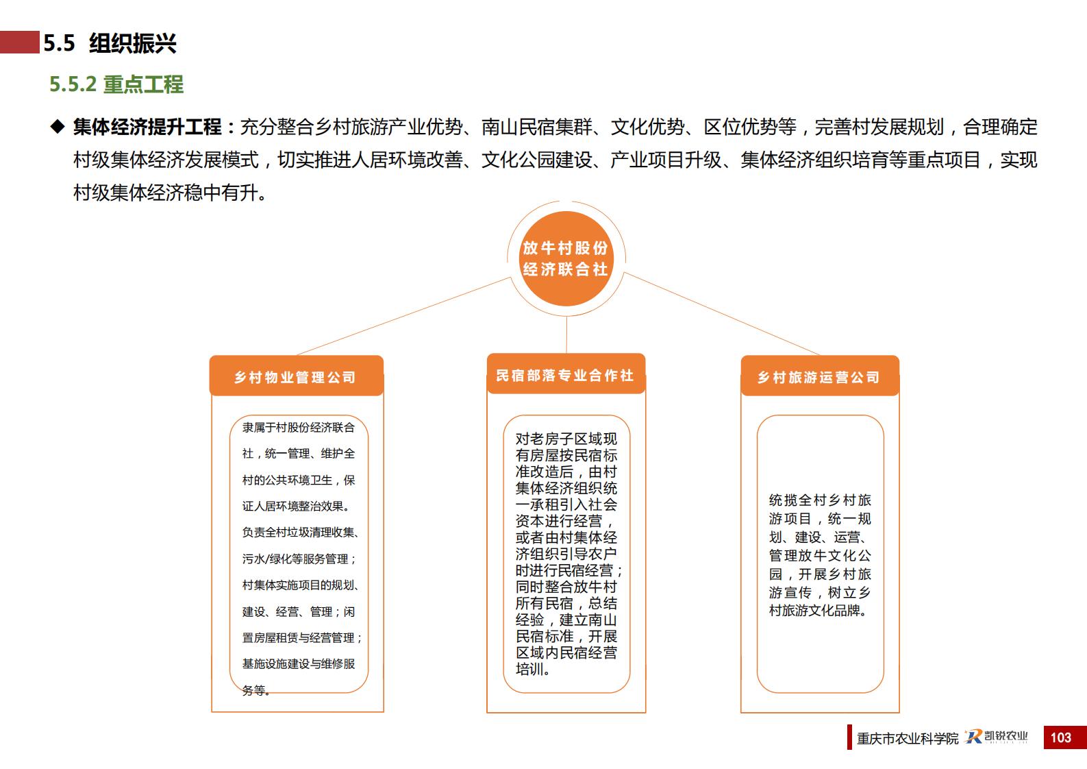 图片[110]-重庆南岸区放牛村市级乡村振兴示范村总体规划