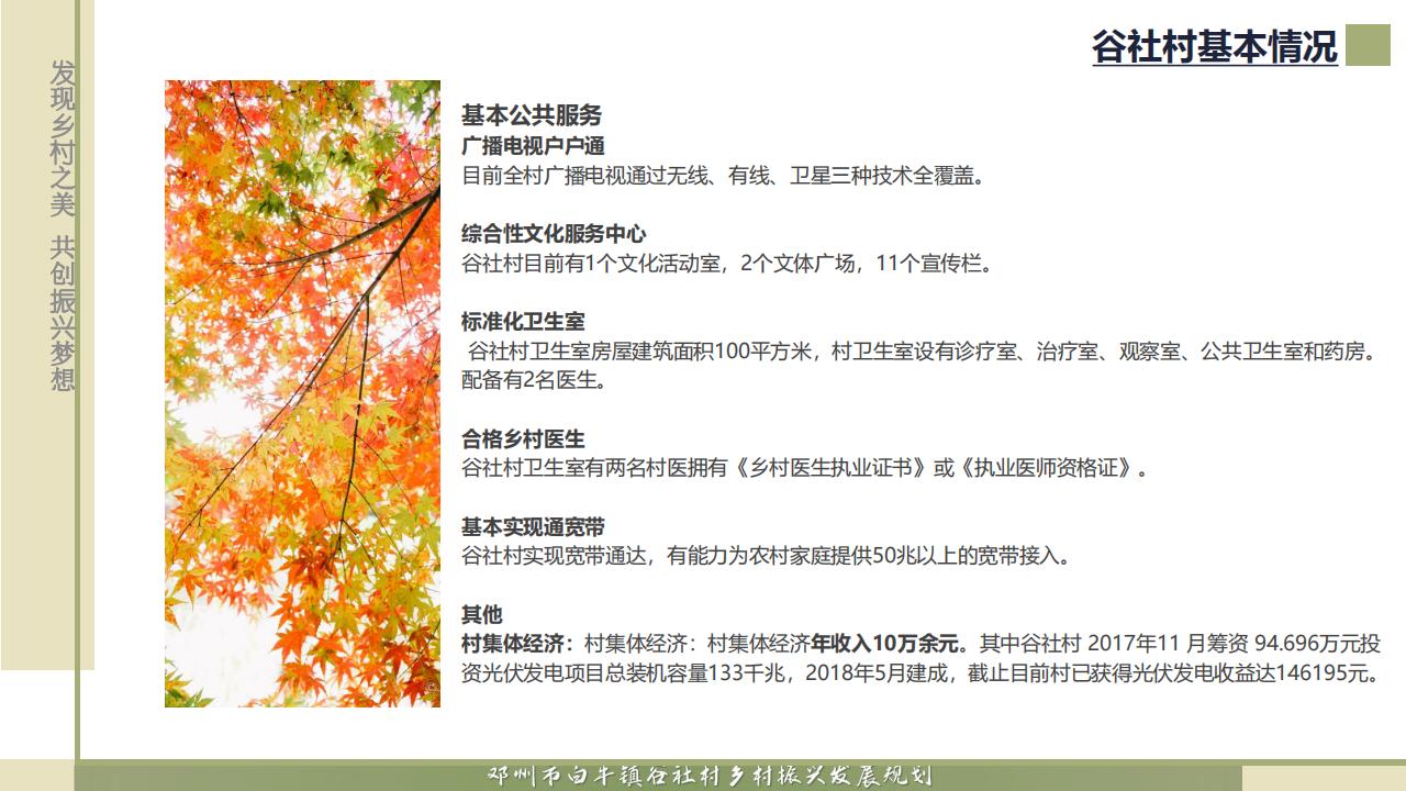 图片[33]-邓州市白牛镇谷社村乡村振兴发展规划