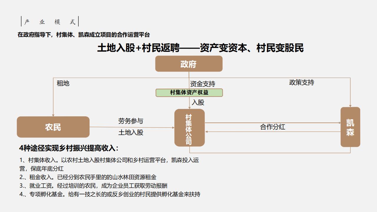 图片[50]-惠州大湾区森林乡村振兴方案