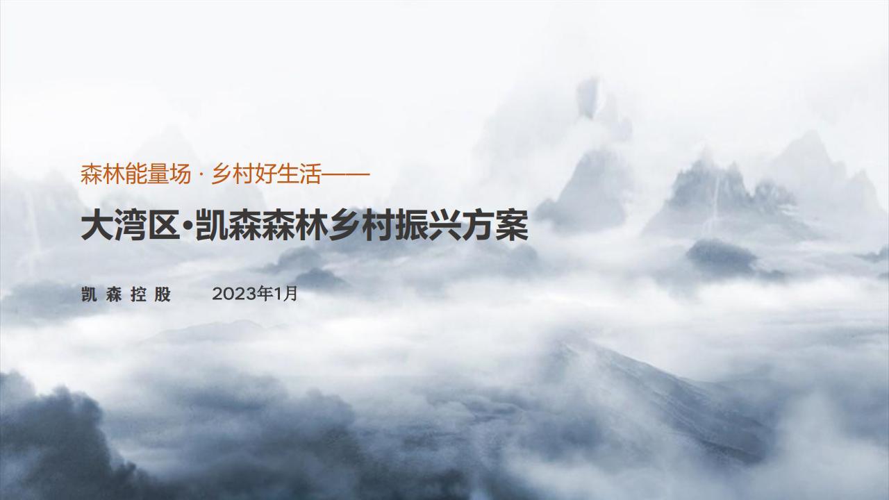 图片[1]-惠州大湾区森林乡村振兴方案