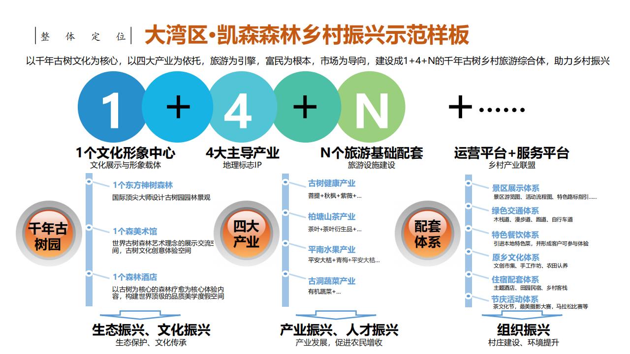 图片[5]-惠州大湾区森林乡村振兴方案