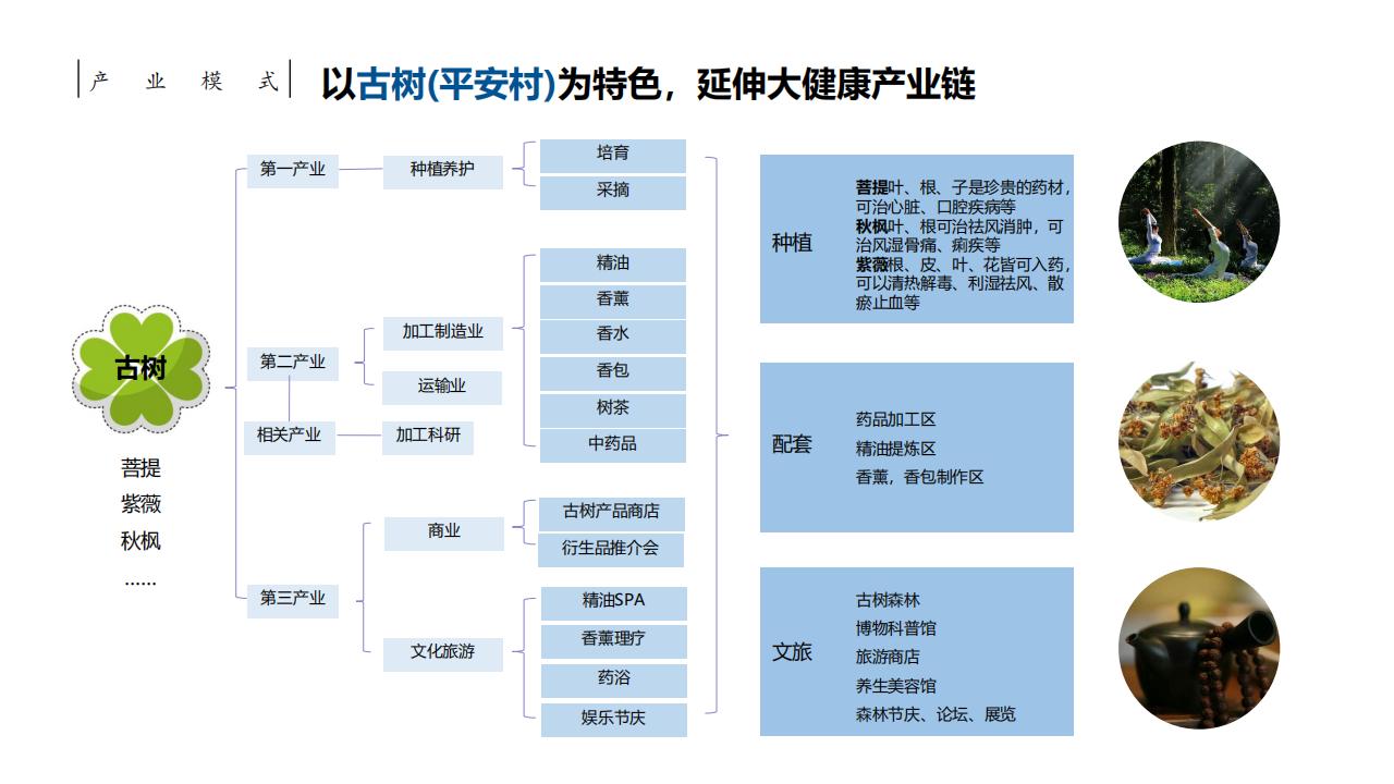 图片[7]-惠州大湾区森林乡村振兴方案