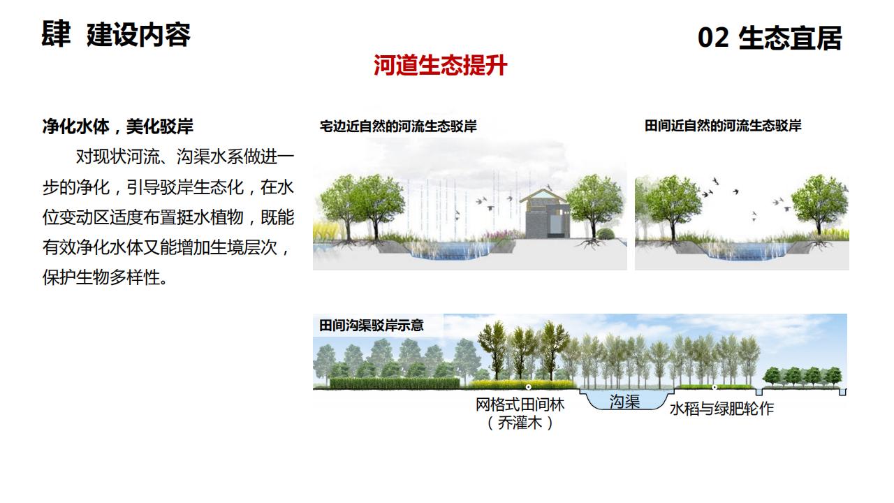 图片[40]-上海渔沥村乡村振兴示范点建设规划方案