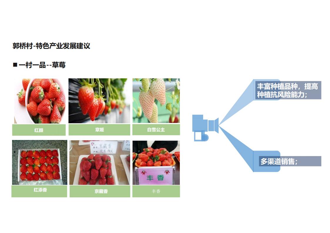 图片[147]-河南许昌乡村正西总体规划方案文本 - 由甫网-由甫网