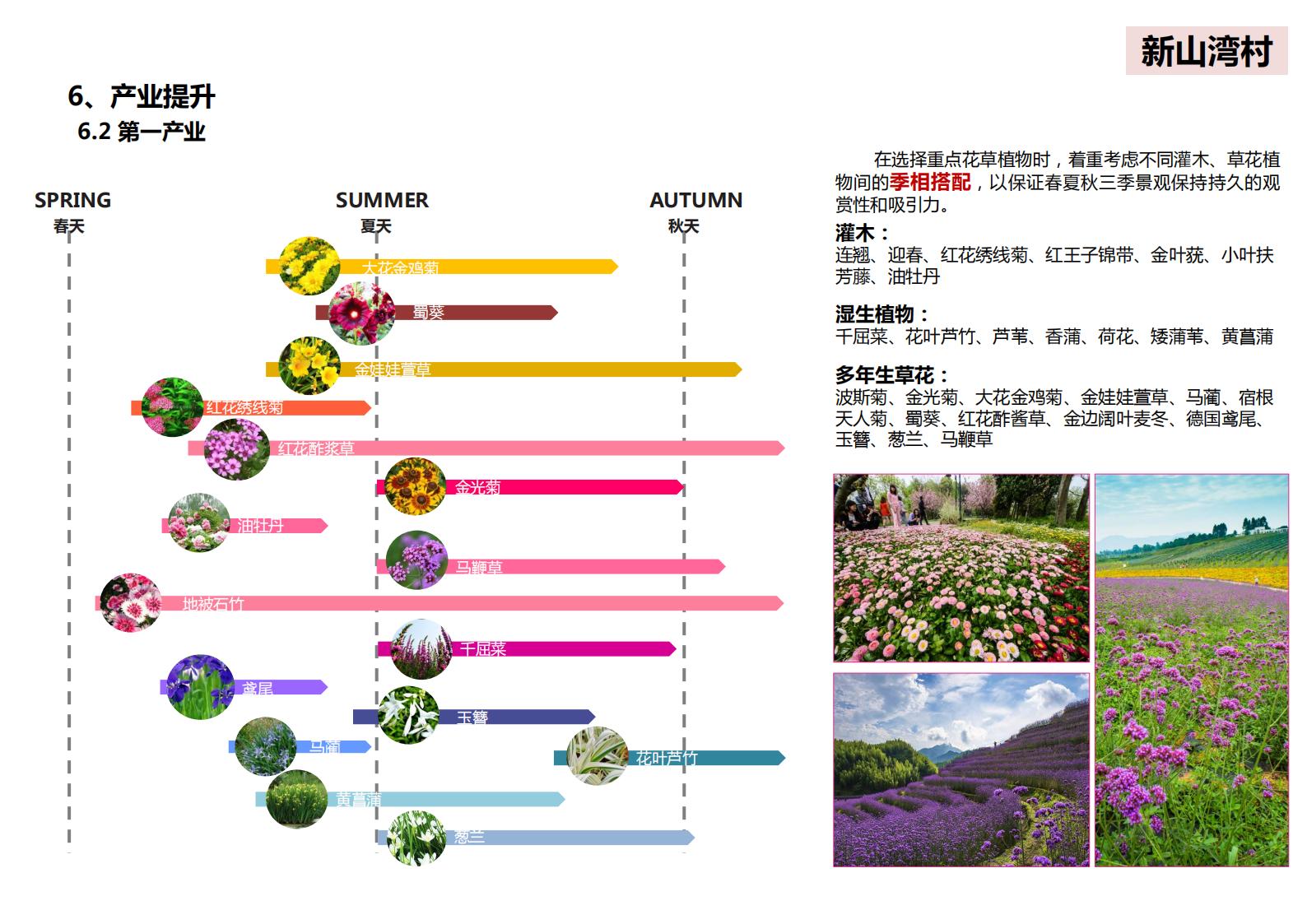 图片[105]-山西省吕梁市离市区信义镇美丽乡村发展村级详细规划 - 由甫网-由甫网