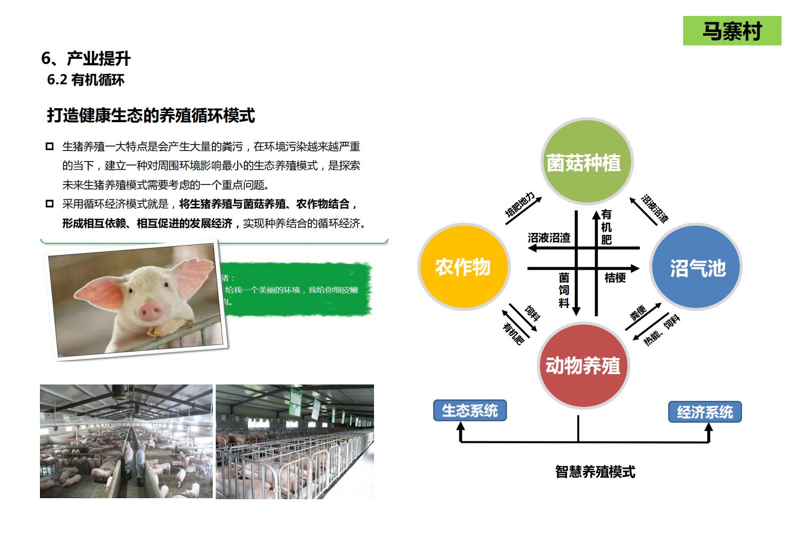 图片[269]-山西省吕梁市离市区信义镇美丽乡村发展村级详细规划 - 由甫网-由甫网