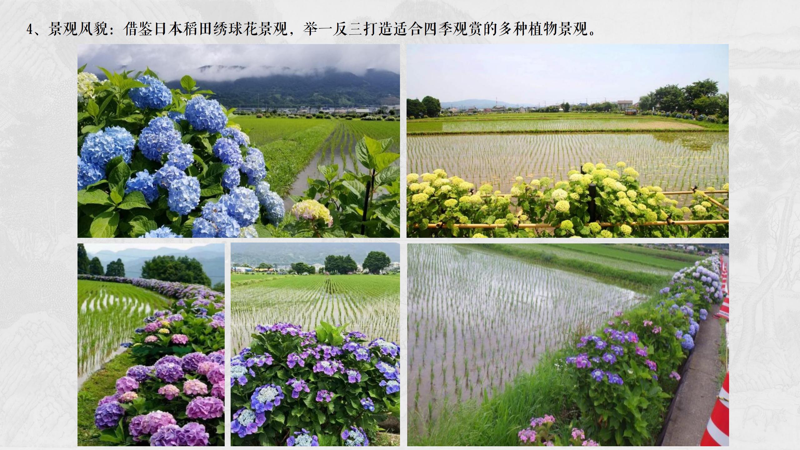 图片[116]-四川遂宁宋风网红乡村振兴旅游规划设计方案 - 由甫网-由甫网