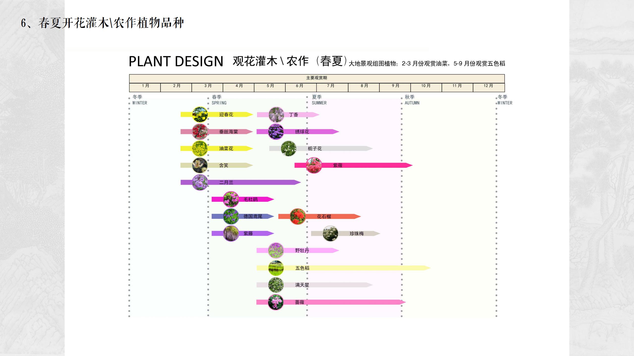 图片[118]-四川遂宁宋风网红乡村振兴旅游规划设计方案 - 由甫网-由甫网
