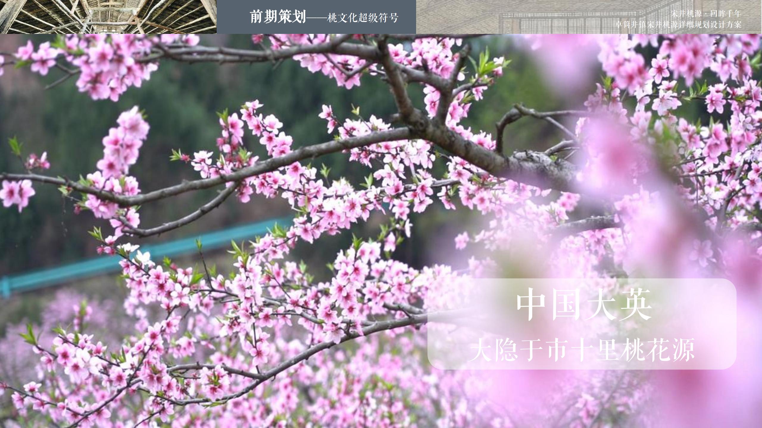 图片[7]-四川遂宁宋风网红乡村振兴旅游规划设计方案 - 由甫网-由甫网