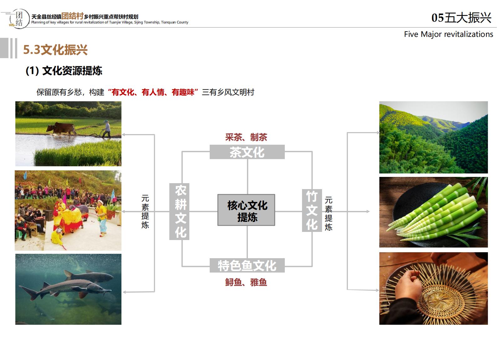 图片[74]-雅安思经镇团结村乡村振兴规划方案 - 由甫网-由甫网