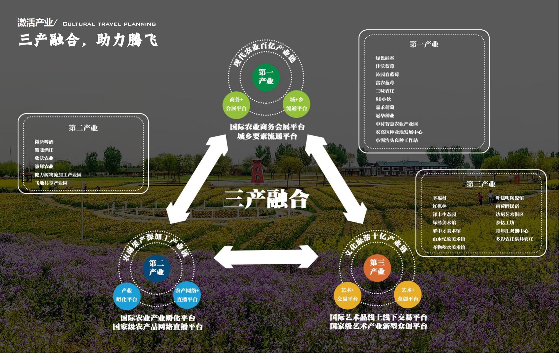 图片[21]-青岛画美达尼生态环线乡村振兴方案 - 由甫网-由甫网