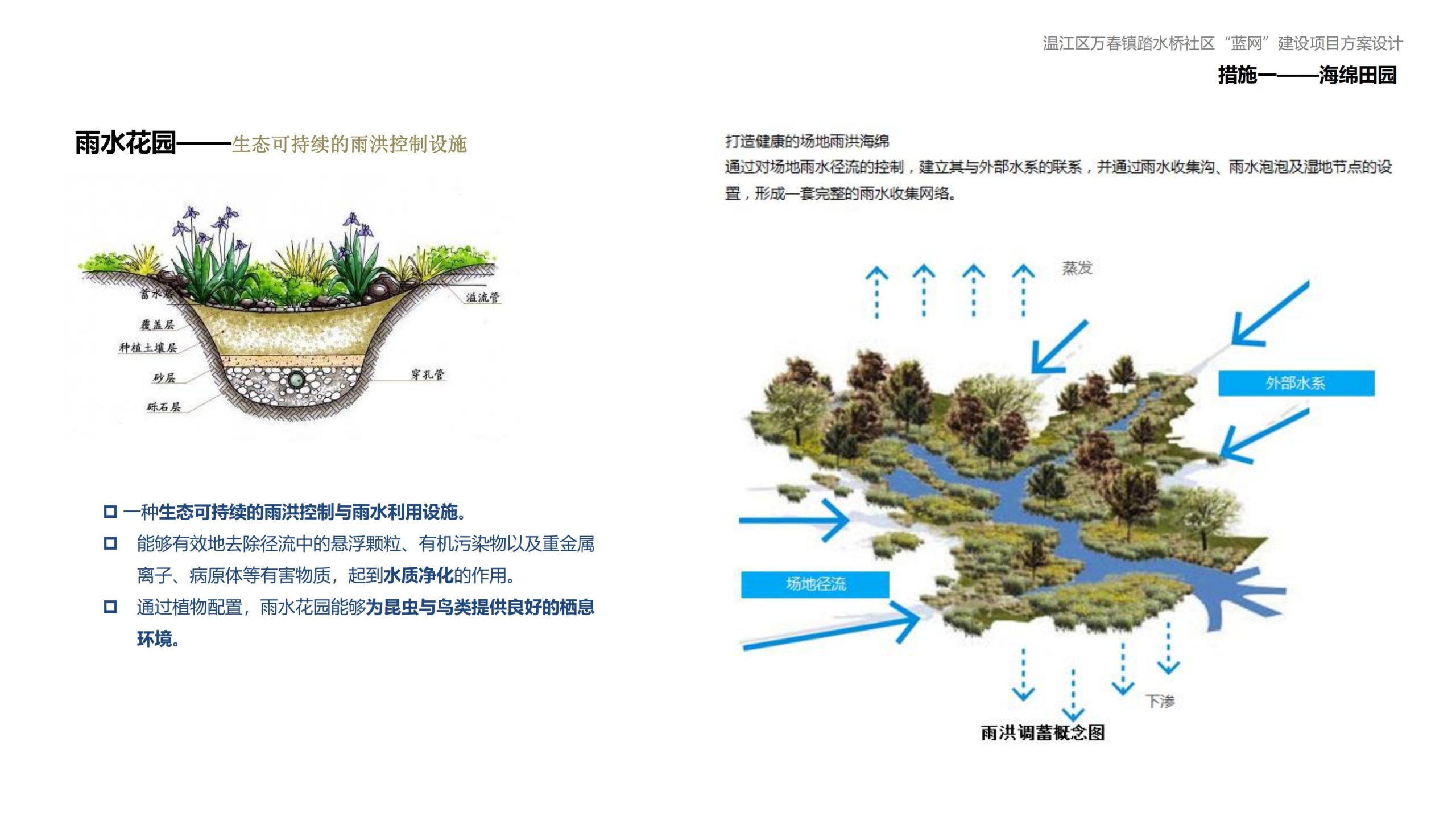 图片[108]-成都万春镇踏水桥社区蓝网乡村振兴改造方案 - 由甫网-由甫网