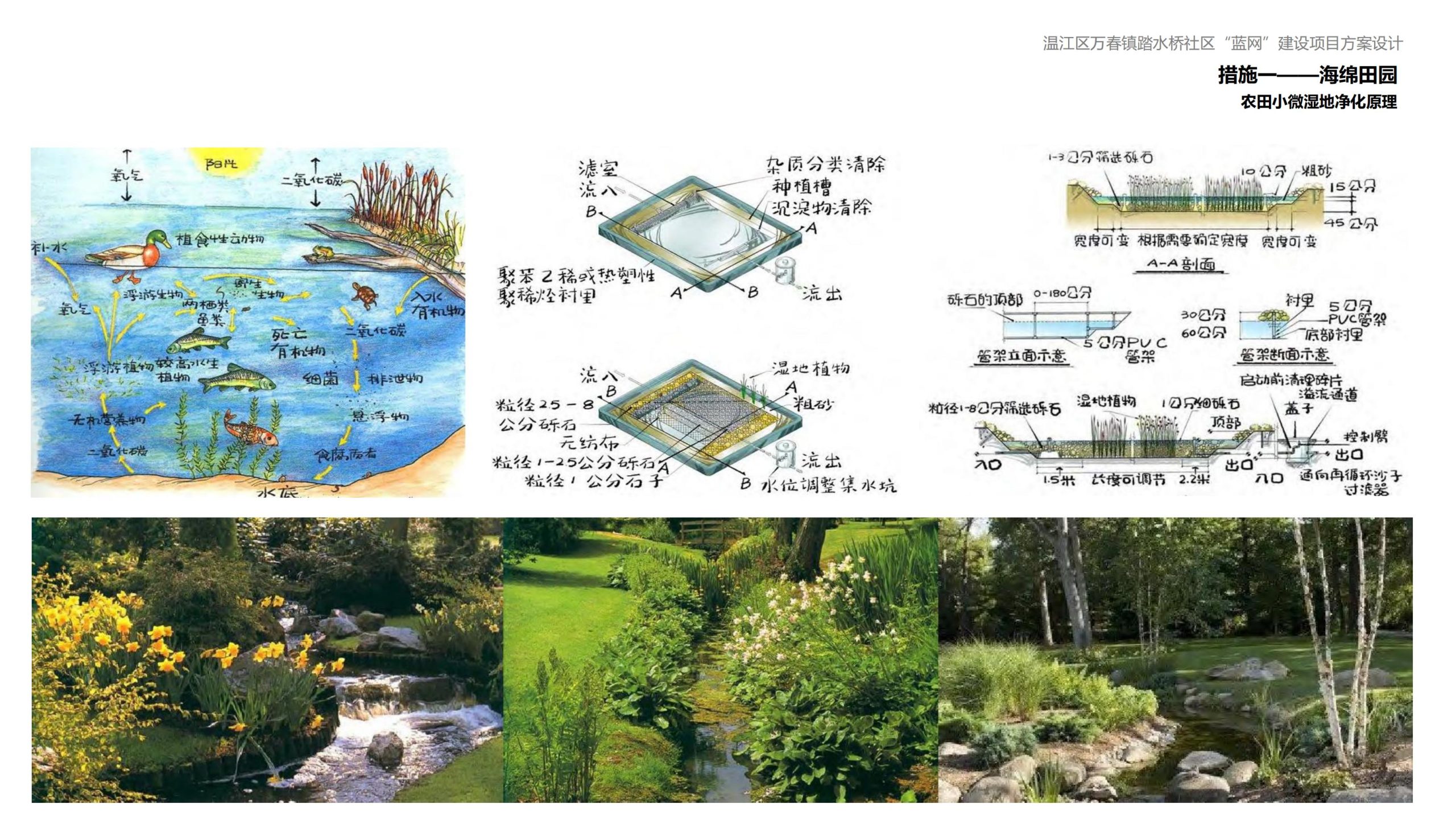 图片[109]-成都万春镇踏水桥社区蓝网乡村振兴改造方案 - 由甫网-由甫网