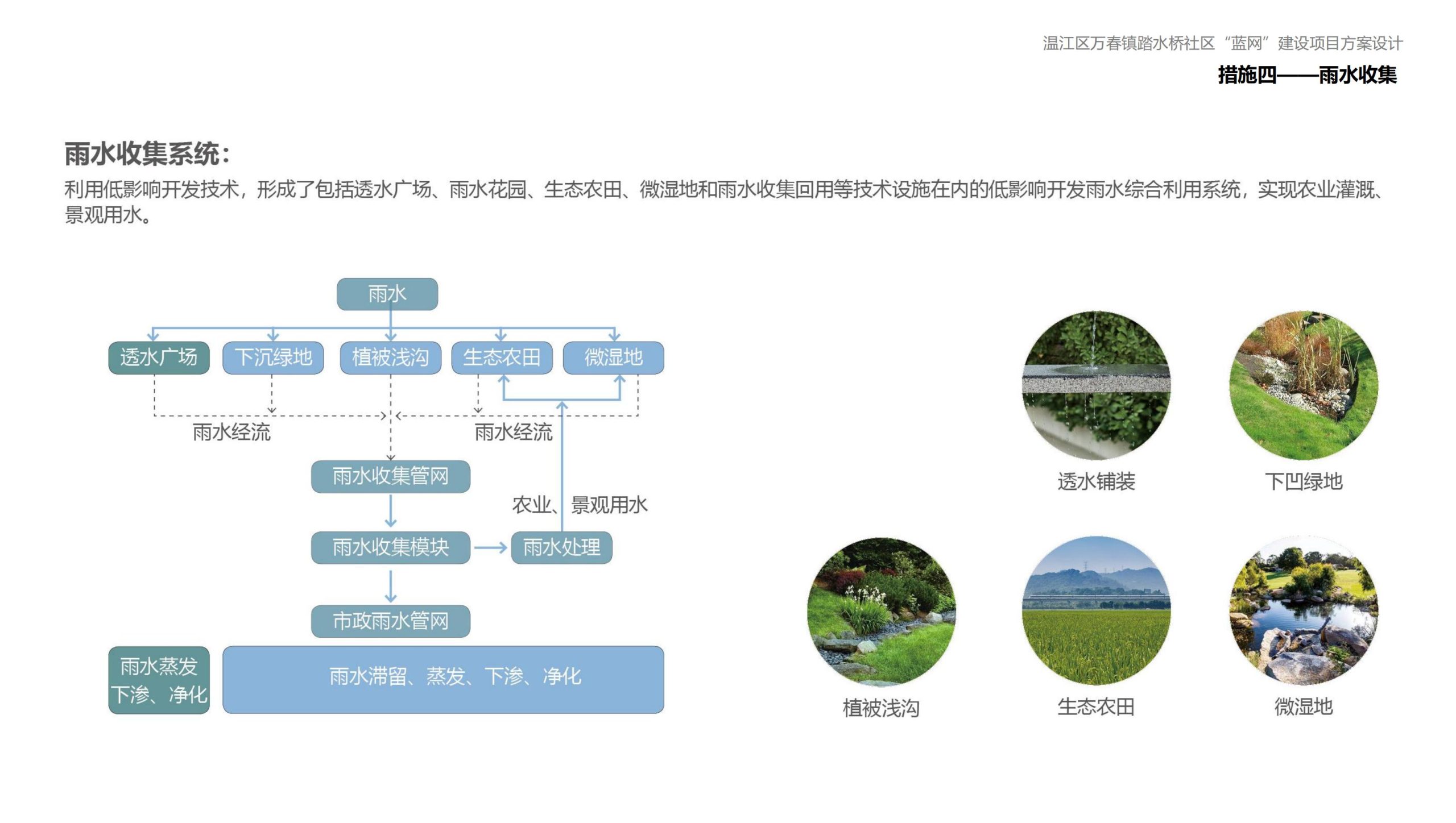 图片[115]-成都万春镇踏水桥社区蓝网乡村振兴改造方案 - 由甫网-由甫网