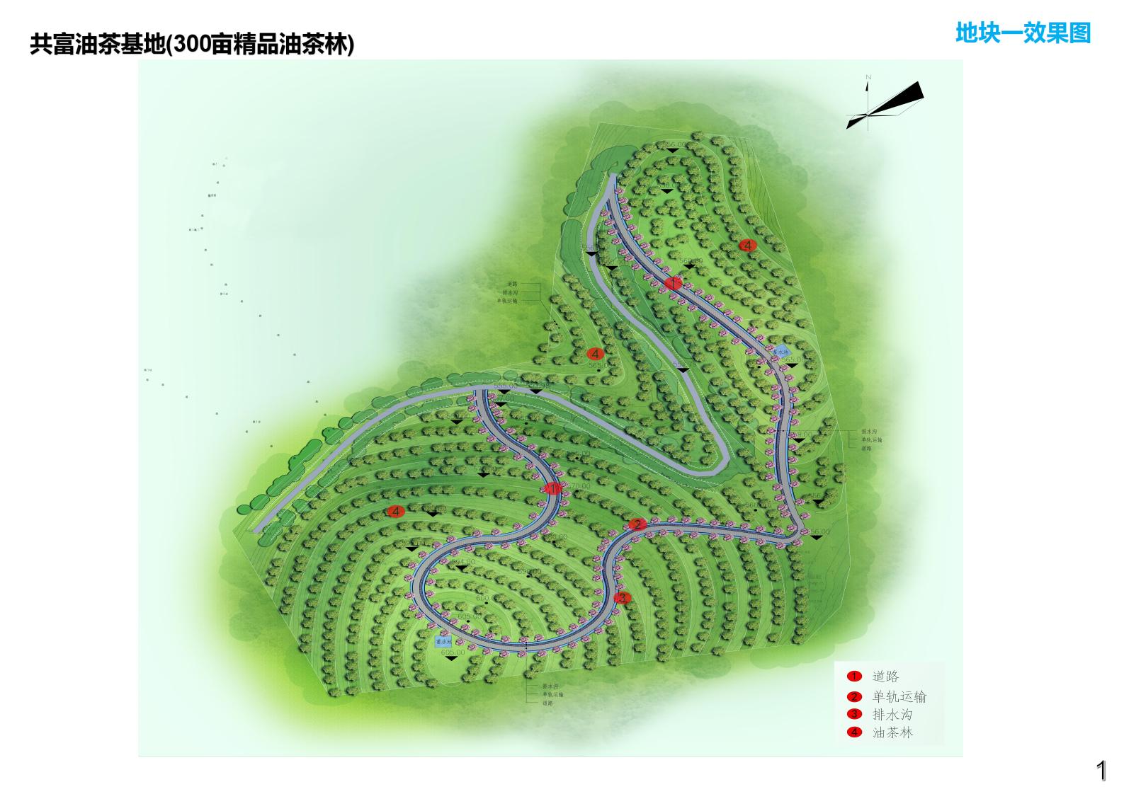 图片[4]-衢州常山共富油茶乡村振兴试点方案 - 由甫网-由甫网