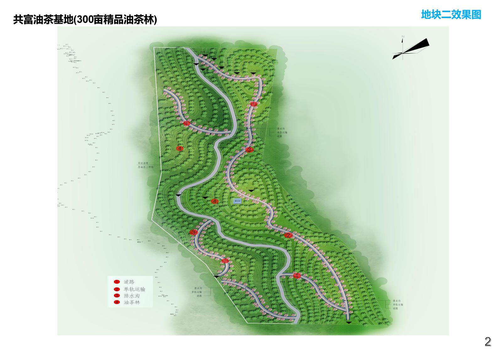 图片[5]-衢州常山共富油茶乡村振兴试点方案 - 由甫网-由甫网